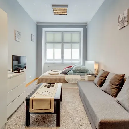 Apartment Apartament Centrum 100m2 Friends & Family & Business