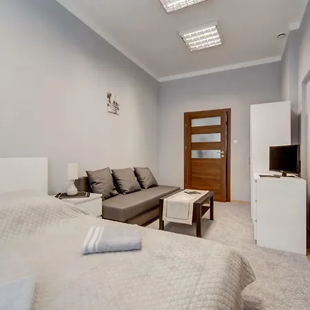 Apartment Apartament Centrum 100m2 Friends & Family & Business